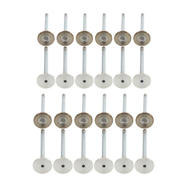 Bmw M42 M50 Vanossuz Supap Takımı - Emme/Egzoz | Supar