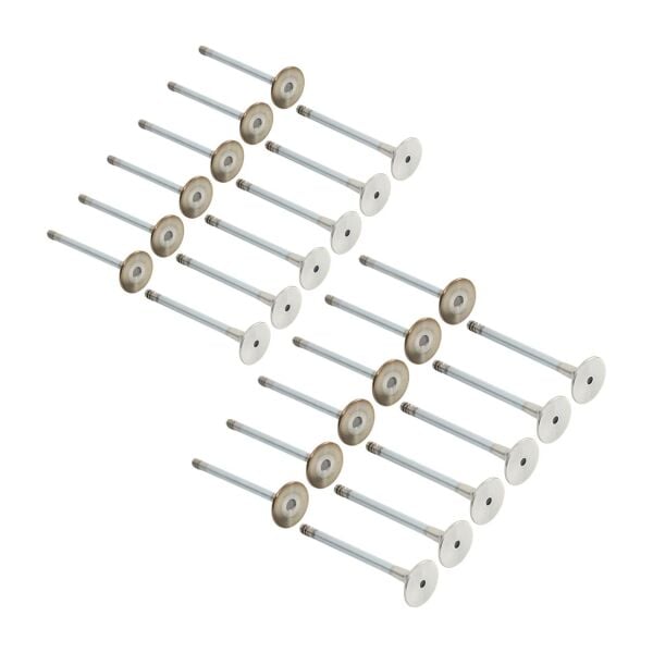 Bmw M42 M50 Vanossuz Supap Takımı - Emme/Egzoz | Supar