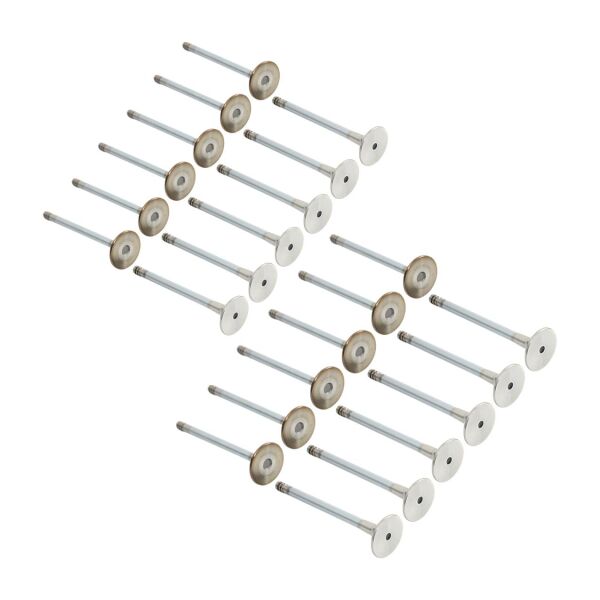 Bmw M42 M50 Vanossuz Supap Takımı - Emme/Egzoz | Supar