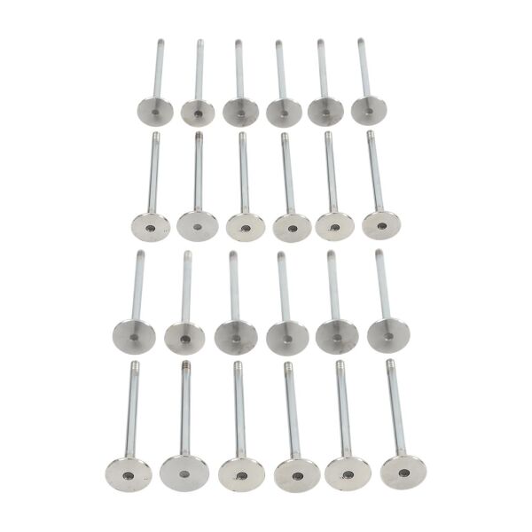 Bmw M57 M57N2 Supap Takımı - Emme/Egzoz | Supar