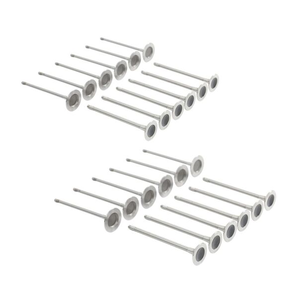 Bmw N20 N26 N55 Supap Takımı - Emme/Egzoz ( 24v) | Supar