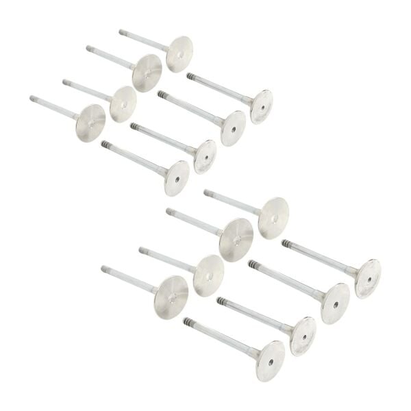 Bmw M40 Supap Takımı - Emme/Egzoz | Tetik