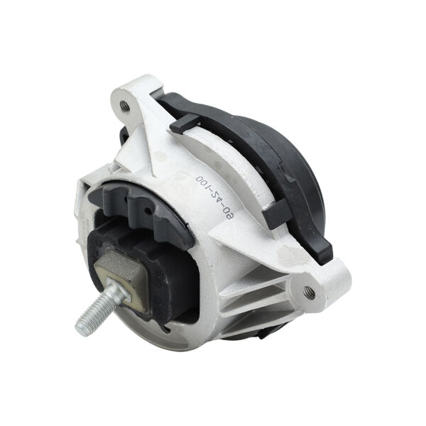 Bmw F20 F30 - N13 Motor Takozu - Sol | Aspart