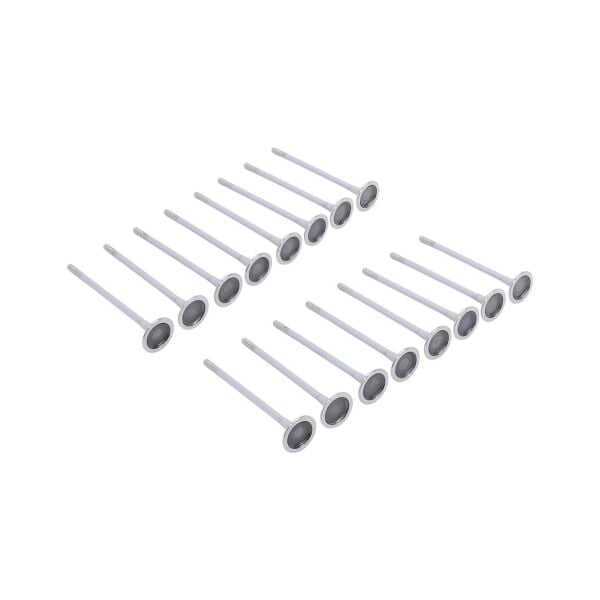 Bmw N13 Supap Takımı - Emme/Egzoz | Supar