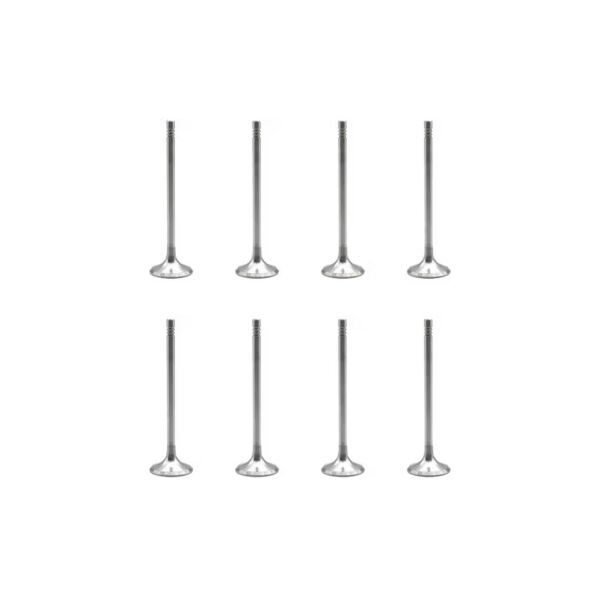 Bmw N47 Supap Takımı - Emme/Egzoz | Tetik