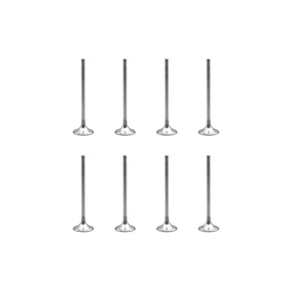 Bmw N47 Supap Takımı - Emme/Egzoz | Tetik