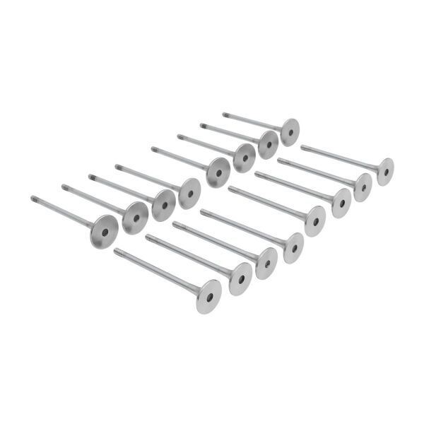 Bmw N47 Supap Takımı - Emme/Egzoz | Supar