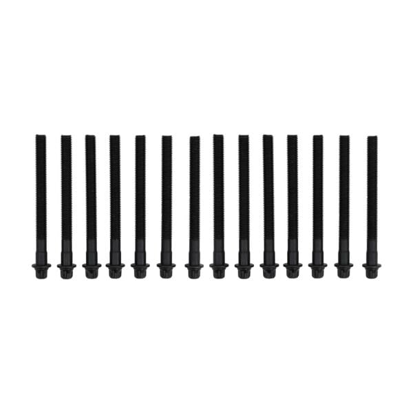 Bmw E53 E83 E36 E38 E39 E46 E60 E65 - M52 M54 Silindir Kapak Saplaması ( 14 Adet ) | Victor Reinz