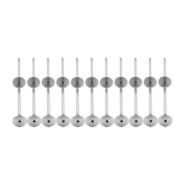 Bmw M57 M57N2 Supap Takımı - Emme/Egzoz | Tetik