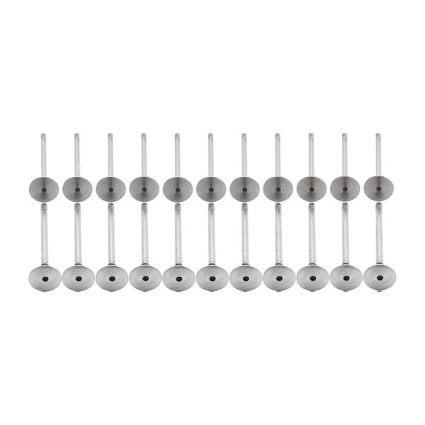 Bmw M57 M57N2 Supap Takımı - Emme/Egzoz | Tetik