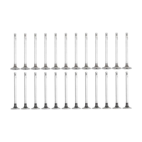 Bmw M57 M57N2 Supap Takımı - Emme/Egzoz | Tetik