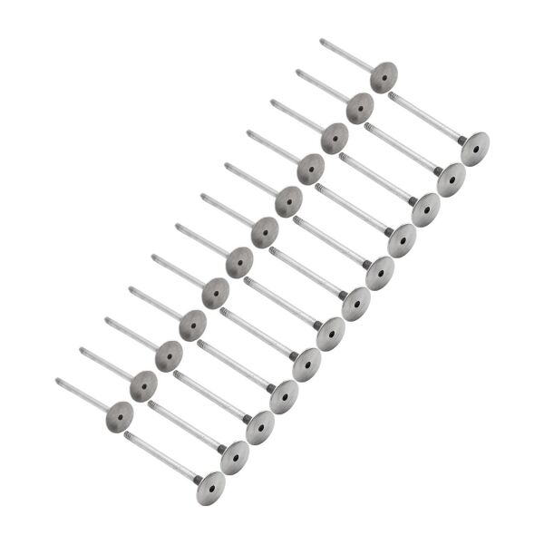 Bmw M57 M57N2 Supap Takımı - Emme/Egzoz | Tetik