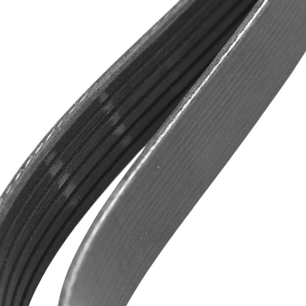 6 PK 1685 V Kayışı | Roadmax