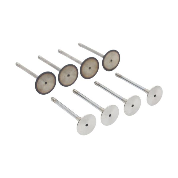 Bmw M43 M73 Supap Takımı - Emme/Egzoz | Güneş