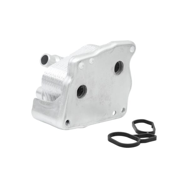 Bmw E83 E84 E46 E60 E90  - N40 N42 N45 N46 Yağ Soğutucusu | Swb