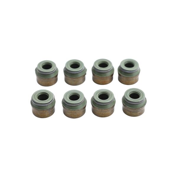 Bmw E53 E34 E38 E39 - M60 M62 Supap Lastiği ( 8 Adet ) | Skt