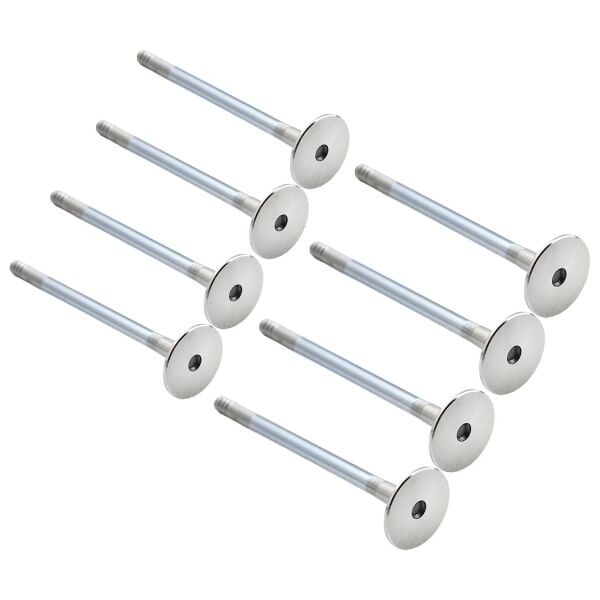 Bmw M47 Supap Emme ( 8 Adet ) | Supar