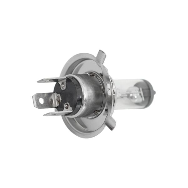 H4 12V 55W 60W Ampul | Bosch
