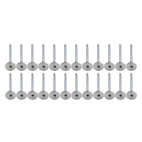 Bmw M47N  Supap Takımı - Emme/Egzoz | Supar