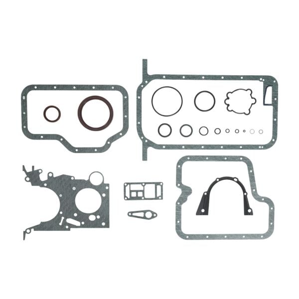 Bmw E30 E34 - M40 Alt Takım Conta | Victor Reinz