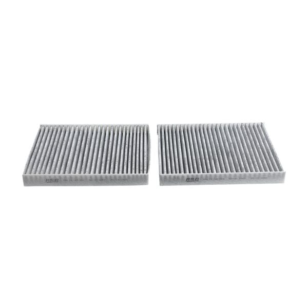 Bmw F01 F06 F07 F10 Polen Filtresi Çiftli - Karbonlu | Bsg