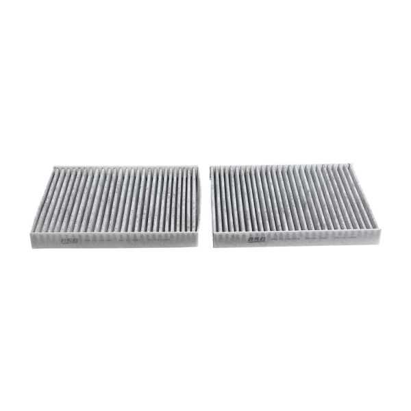 Bmw F01 F06 F07 F10 Polen Filtresi Çiftli - Karbonlu | Bsg