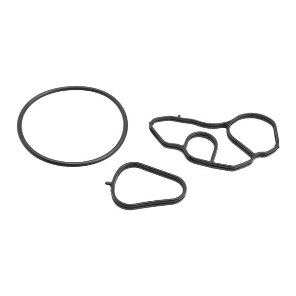Bmw F20 F30 - N13 Yağ Filtre Kütük Contası - Set | Bsg