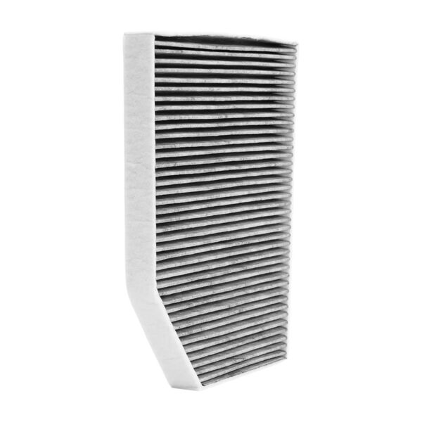 Bmw G01 G02 G20 Polen Filtresi - Karbonlu | Bosch