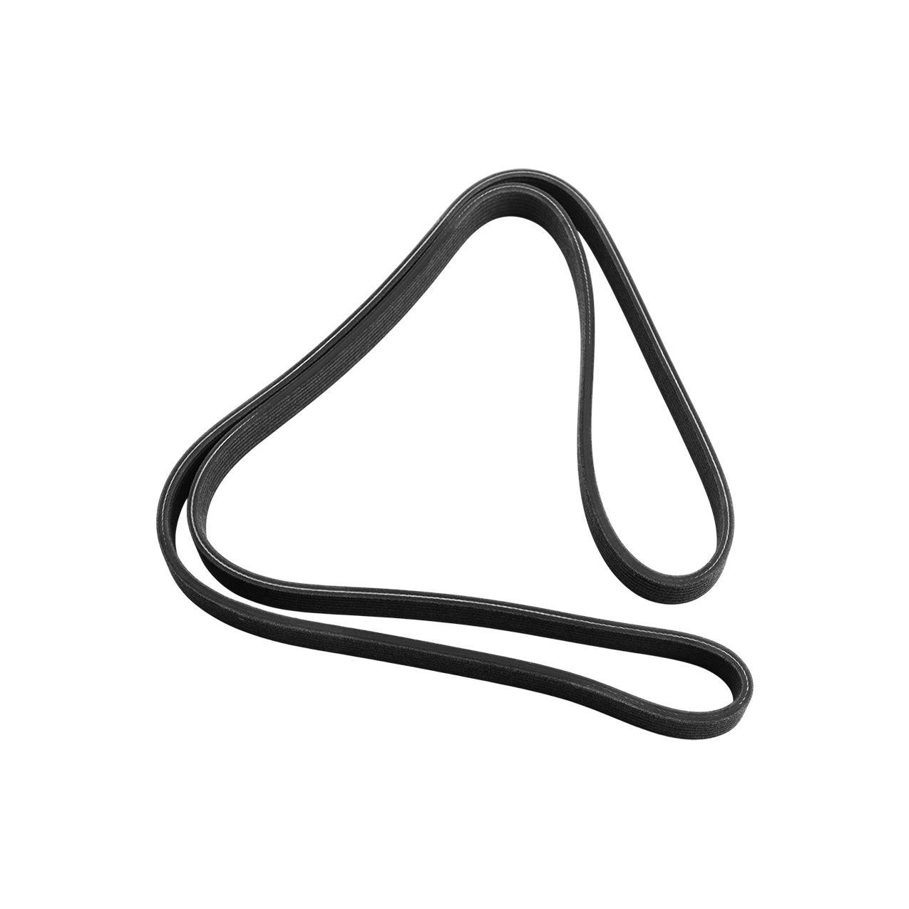 7DPK 1697 V Kayış | Dayco