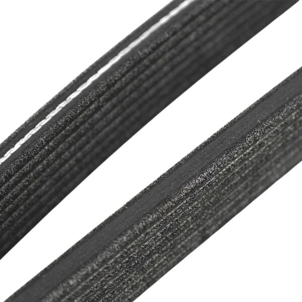 7DPK 1697 V Kayış | Dayco