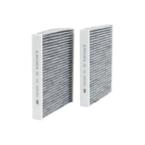 Bmw F01 F06 F07 F10 Polen Filtresi Çiftli - Karbonlu | Mann Filter