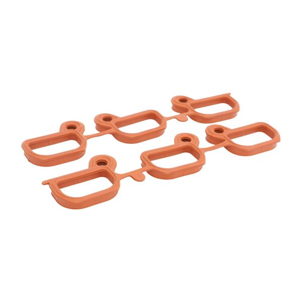 Bmw E36 E38 E39 E46 E60 E83 - M52 M54 Emme Manifold Contası | Victor Reinz