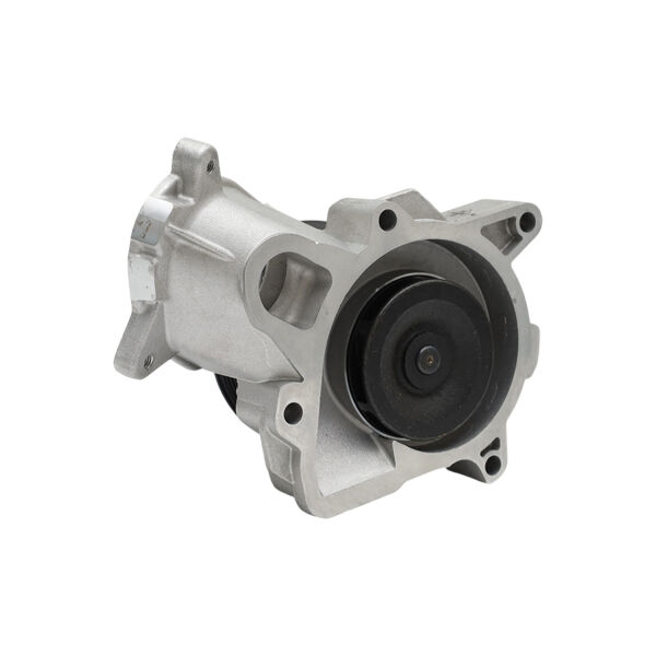 Bmw E46 E53 E65 E66 - M47N Devirdaim | Ina