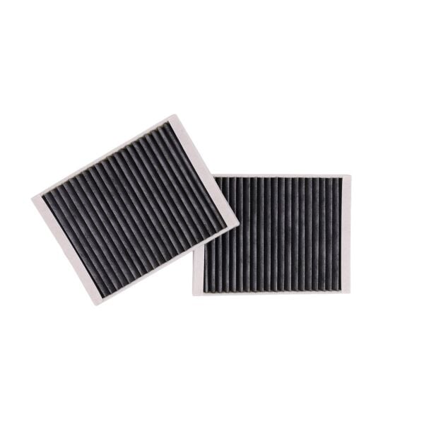 Bmw E39 Polen Filtresi Çiftli - Karbonlu | Mann Filter