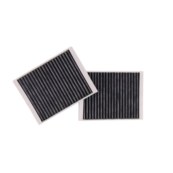 Bmw E39 Polen Filtresi Çiftli - Karbonlu | Mann Filter