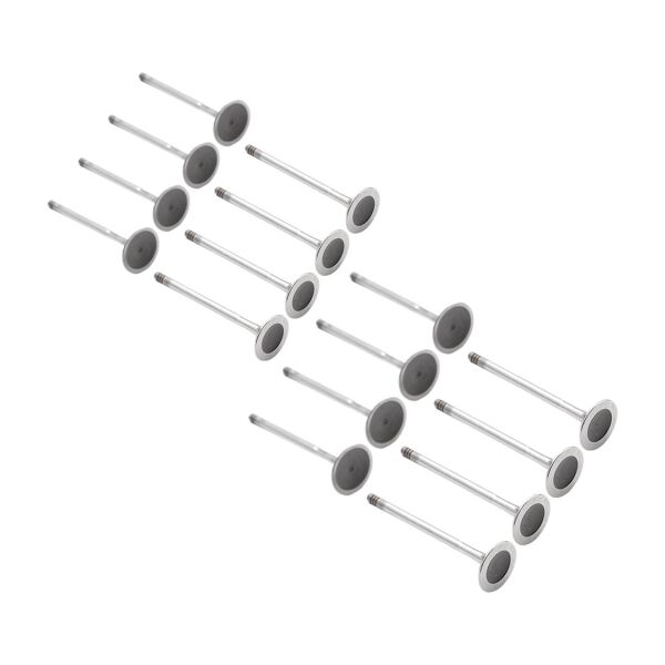 Bmw N42 N46 Supap Takımı - Emme/Egzoz | Güneş