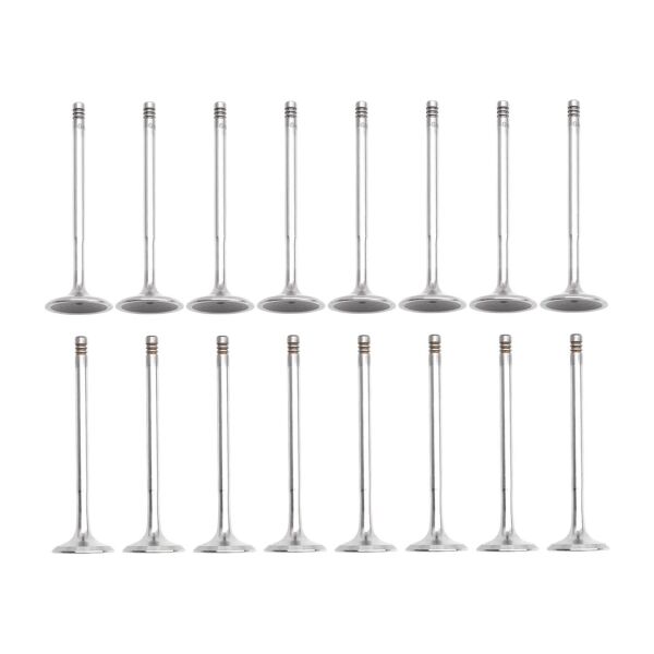 Bmw N42 N46 Supap Takımı - Emme/Egzoz | Güneş