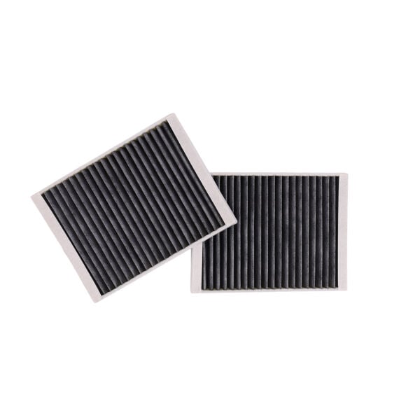 Bmw E39 Polen Filtresi Çiftli - Karbonlu | Mann Filter