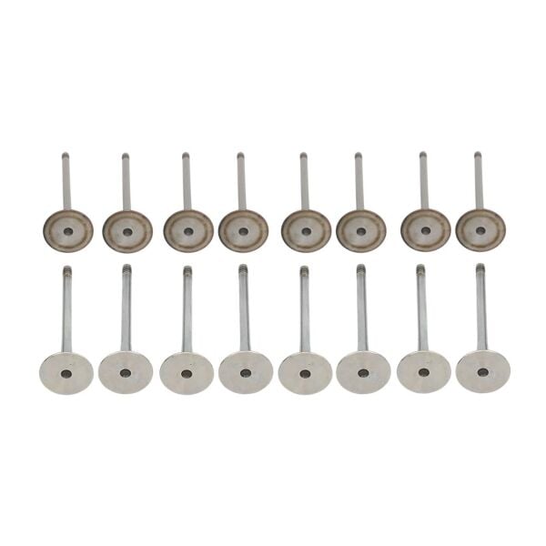 Bmw M42 Supap Takımı - Emme/Egzoz ( 16 Valf ) | Güneş