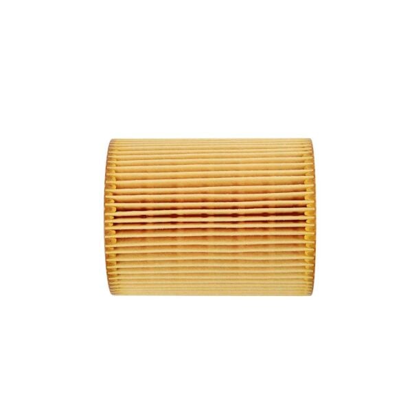 Bmw E36 E38 E39 E46 E53 E60 - M52 M54 Yağ Filtresi | Mann Filter