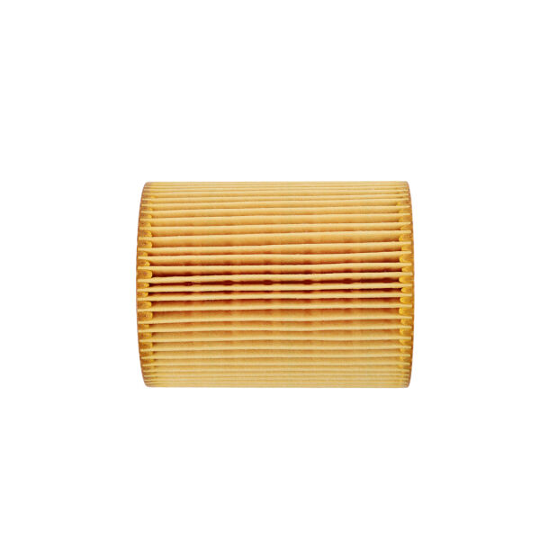 Bmw E36 E38 E39 E46 E53 E60 - M52 M54 Yağ Filtresi | Mann Filter