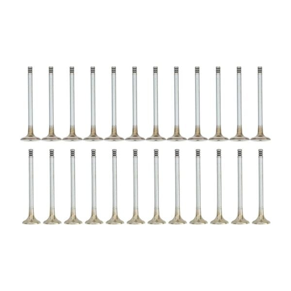 Bmw M50 Vanossuz Supap Takımı - Emme/Egzoz | Güneş