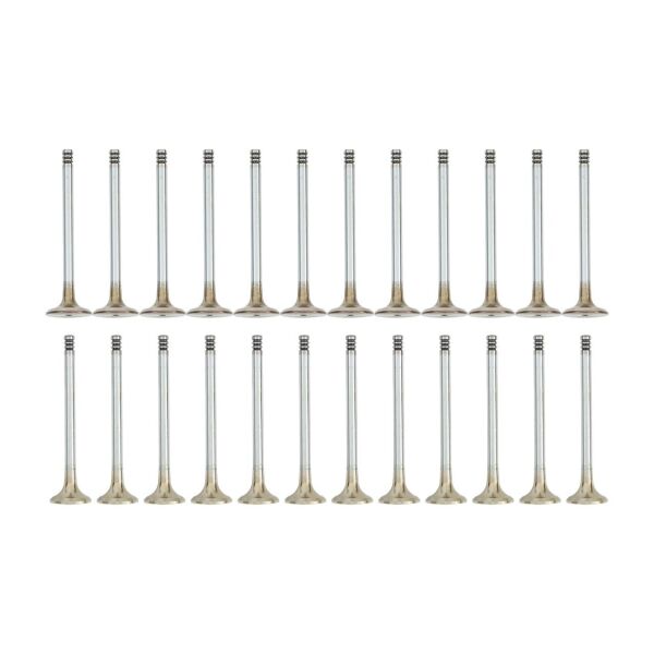 Bmw M50 Vanossuz Supap Takımı - Emme/Egzoz | Güneş