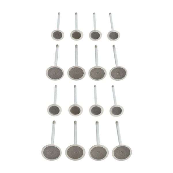 Bmw N40 N45 Supap Takımı - Emme/Egzoz | Güneş