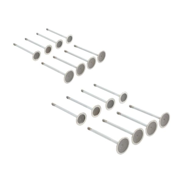 Bmw N40 N45 Supap Takımı - Emme/Egzoz | Güneş