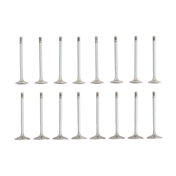 Bmw N40 N45 Supap Takımı - Emme/Egzoz | Güneş