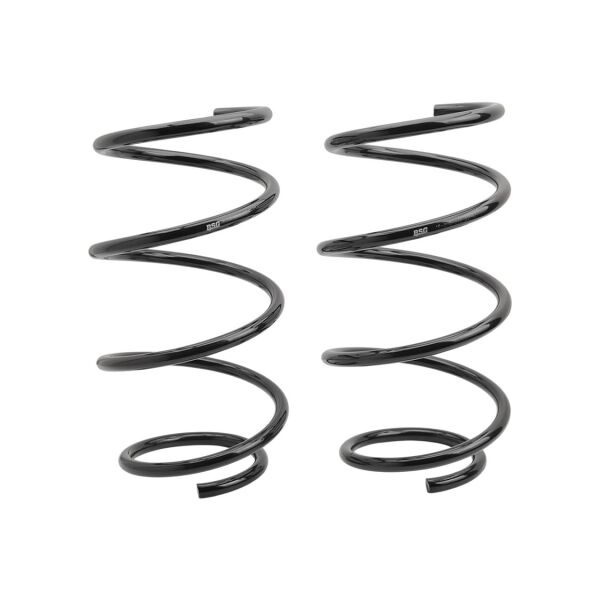 Bmw E39 Ön Yay Takımı - Orijinal Boyut | Bsg