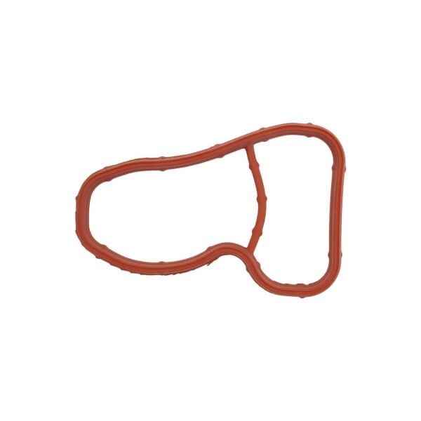 Bmw F10 F20 F30 F36 G30 - X5 F15 - B37 B47 B57 Emme Manifold Contası | Victor Reinz