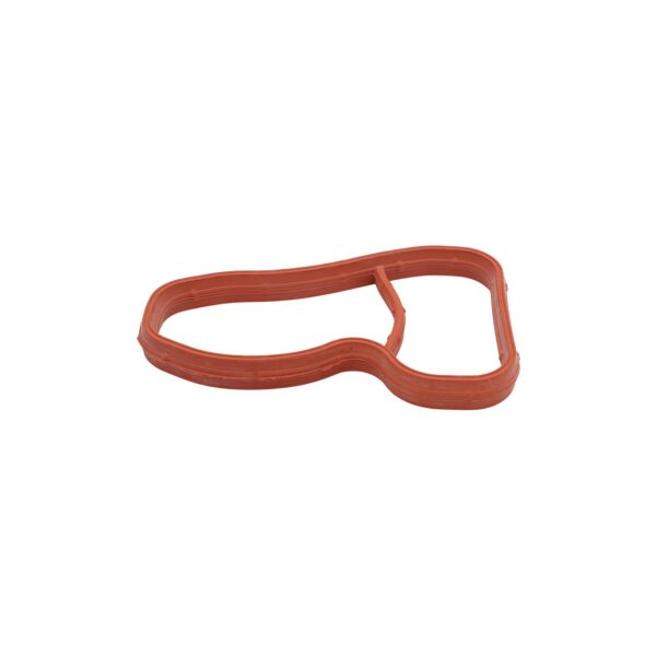 Bmw F10 F20 F30 F36 G30 - X5 F15 - B37 B47 B57 Emme Manifold Contası | Victor Reinz