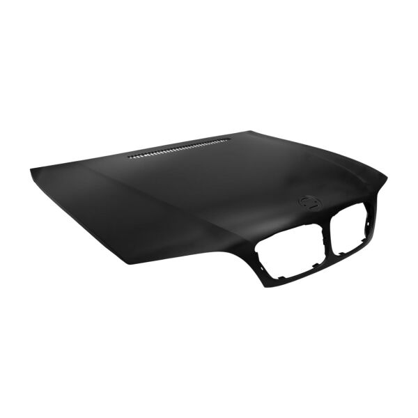 Bmw E46 Coupe Kaput ( 03 - 06 ) | Taiwan